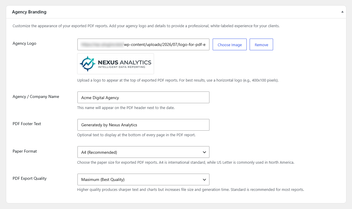 WP Insights Pro agency branding settings