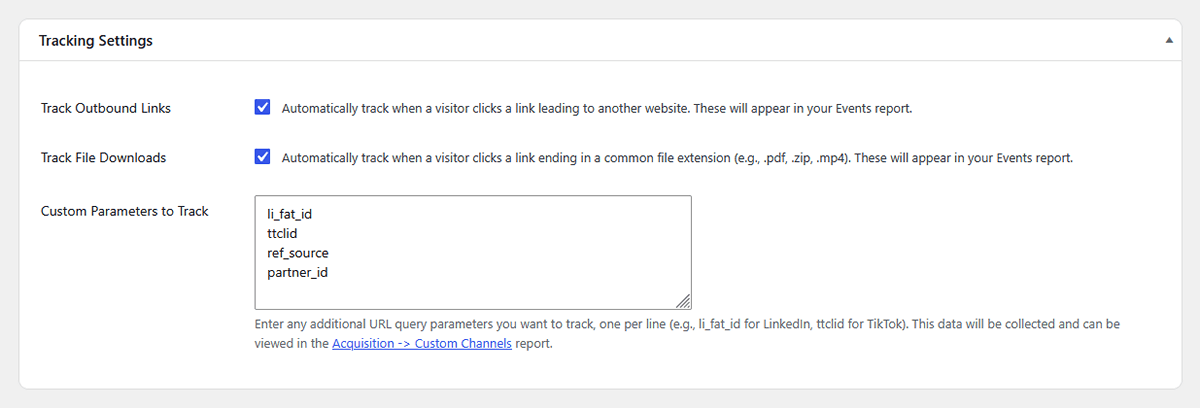 WP Insights Pro settings showing Track Outbound Links option enabled in WordPress